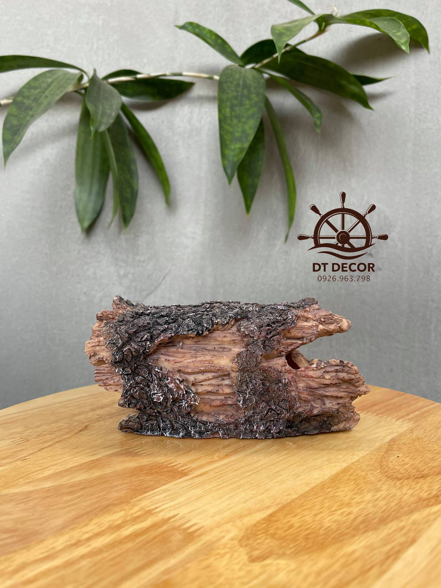 Khúc gỗ mục có vỏ